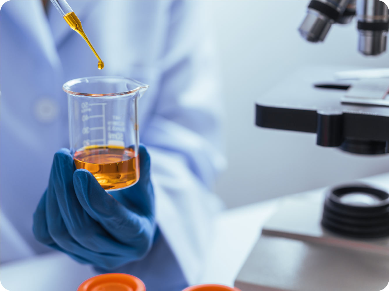 自由闊達の画像2